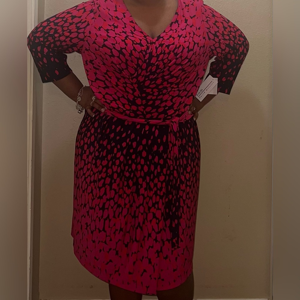 David Meister Dress 24 Wide